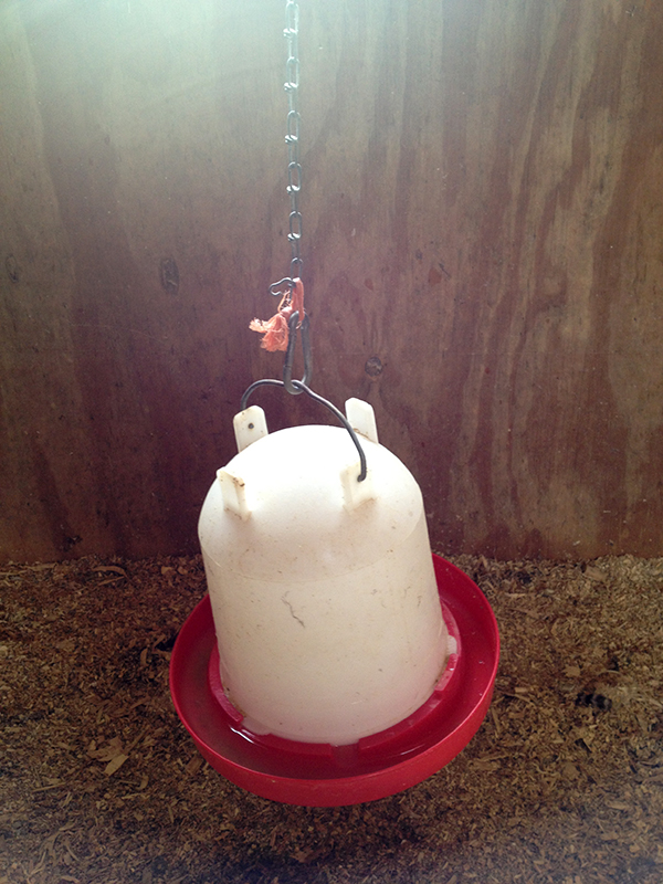 Blitz Feeder/Waterer Combo